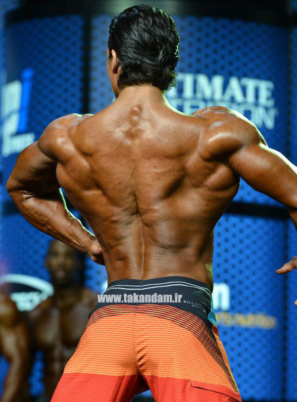 physique_mrolympia2015 (5)